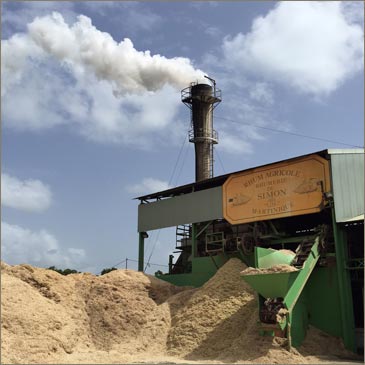 Vue de bagasse à l'extérieur de DISTILLERIE DU SIMON