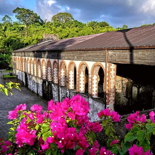 Vue extérieure de la distillerie HSE