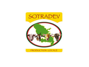Logo Sotradev production locale