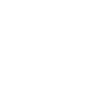 Logo Association Martiniquaise pour la Promotion de l'Industrie - AMPI